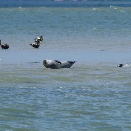 Ferienhaus-sommerwind Casa de Férias