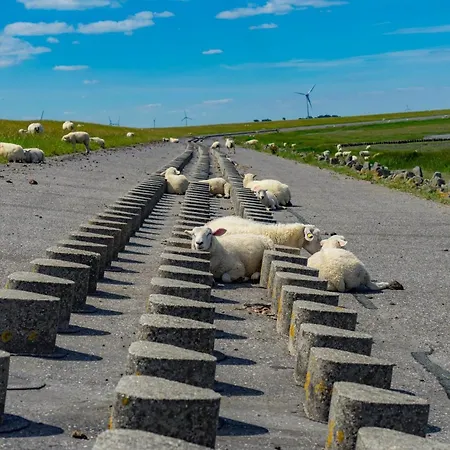 Ferienhaus-sommerwind Casa de Férias *